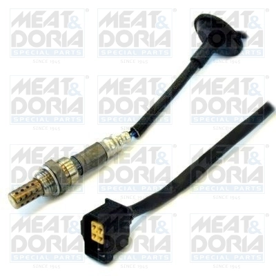 Oxygen Sensor